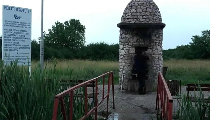 Oras Ineu Promoție - Romania
