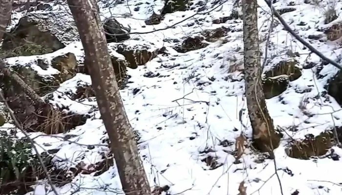 Oras Macin Videoclipuri - Romania