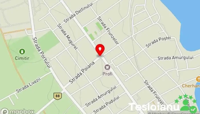 hartă a Oraş Ovidiu  în 
