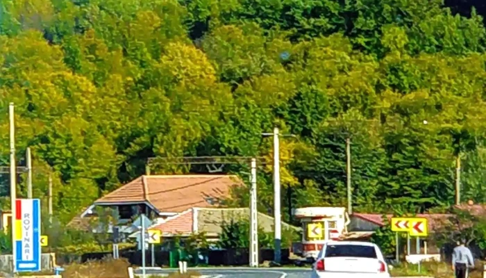 Oras Rovinari Adresă - Romania
