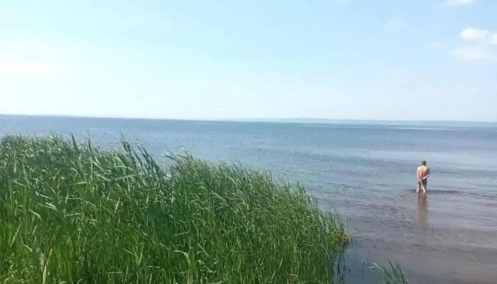 Oras Sacueni Mare - Romania
