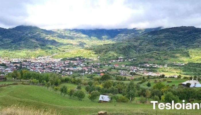 Oras Sangeorz Bai Promoție - Romania
