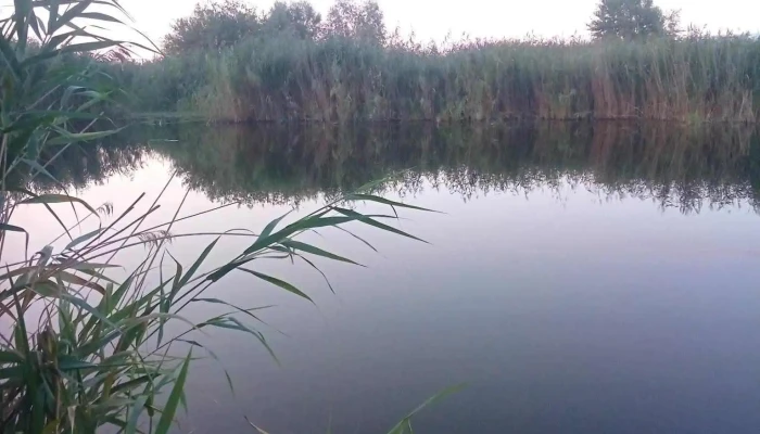 Oras Siret Site Web - Romania