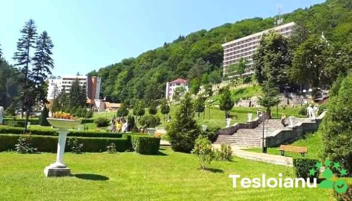 Oras Slanic Moldova Comentarii - Romania