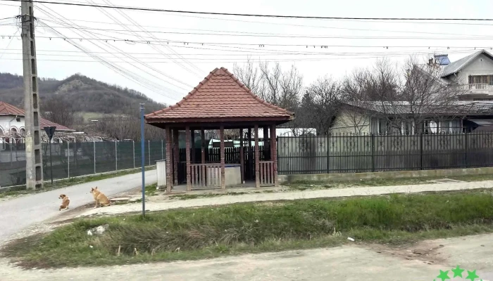 Oras Stefanesti Fotografii - Romania