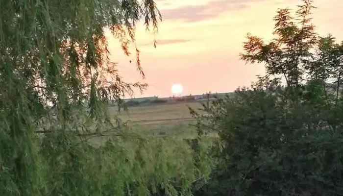 Oraş Chişineu-criş - Romania
