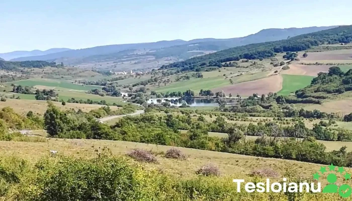 Oraş Cristuru Secuiesc - Romania