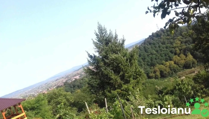 Oraş Şimleu Silvaniei - Romania