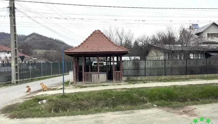 Oraş Ştefăneşti - Romania