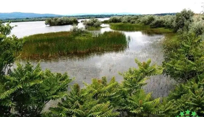 Ostrov - Ostrov