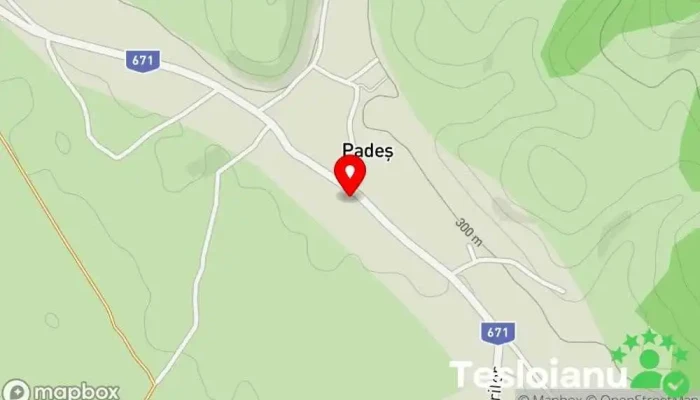hartă a Padeș  în Padeș