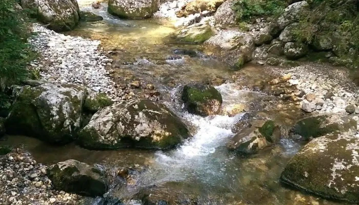 Padina -  Recenzii - Padina