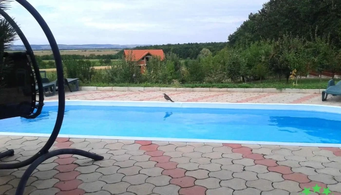 Padurea Alparea Prețuri - Romania