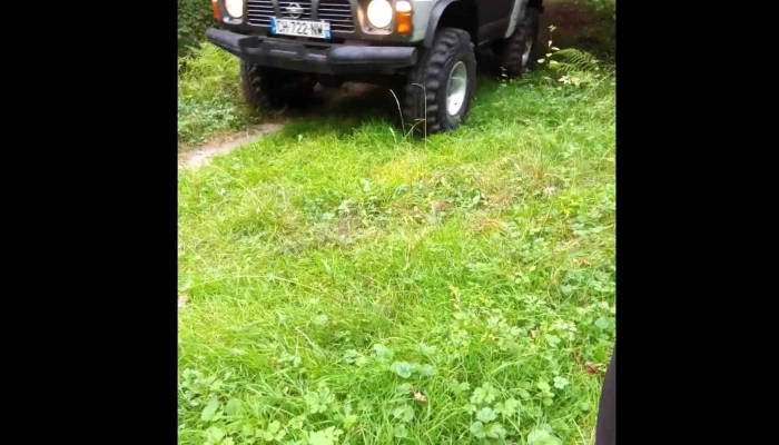 Padurea Craiasca Număr - Ocna Șugatag