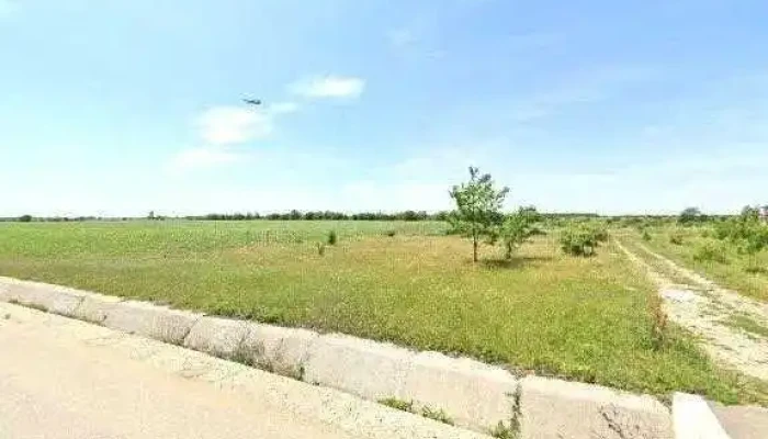 Padurea Felix Zonă - Corbeanca