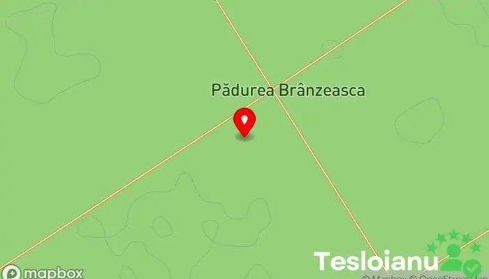 hartă a Pădurea Moara Vlăsiei Woods în 