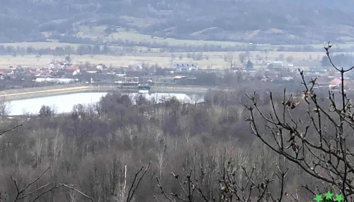Padurea Tismana Pocruia Munte - Romania