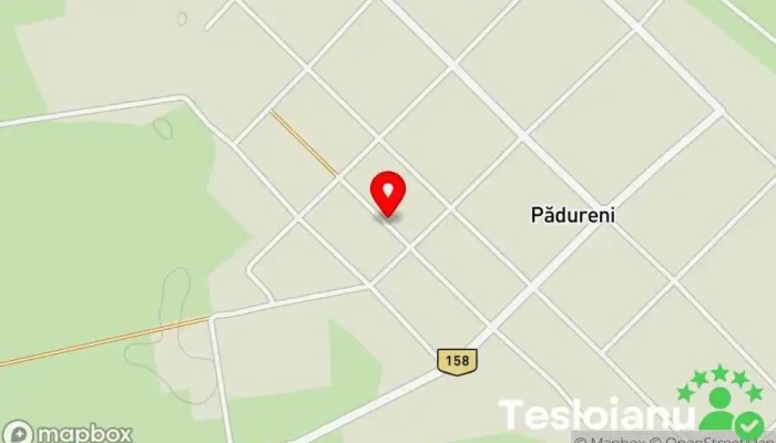 hartă a Pădureni  în Pădureni
