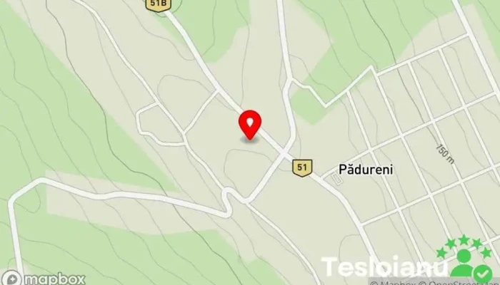hartă a Pădureni  în Pădureni