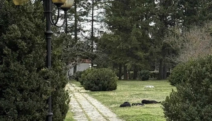 Palatul Snagov -  Cele Mai Recente - Snagov
