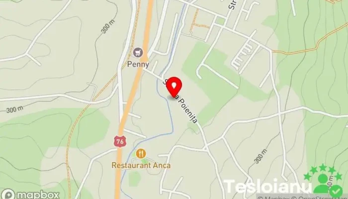 hartă a Palrom Products S.R.L. Sediul social în Brad
