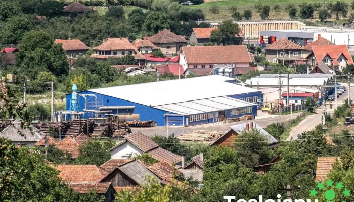 Palrom Products Srl Zonă - Brad