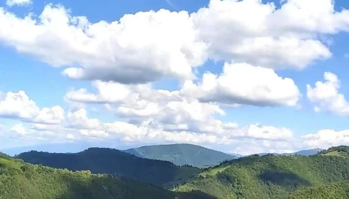 Paltinis Cum Să Ajungi Acolo - Păltiniș