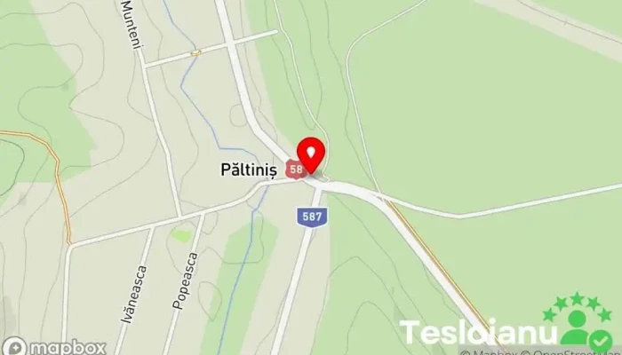 hartă a Păltiniș  în Păltiniș