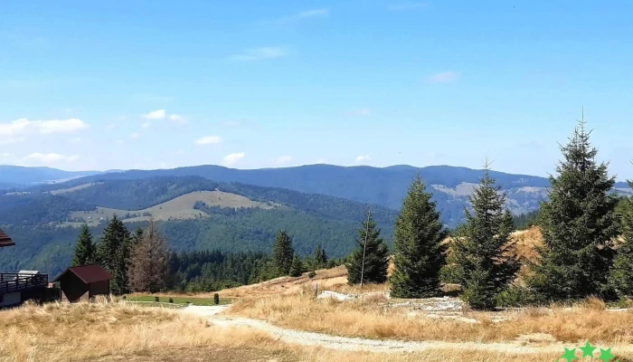 Paltinis Munte - Păltiniș