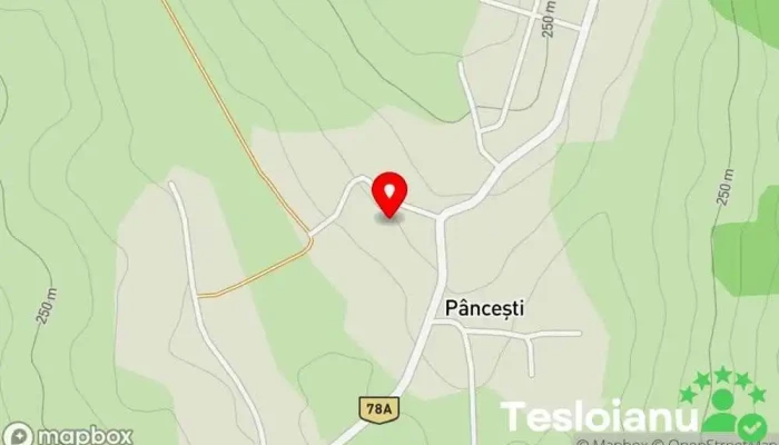 Pâncești - Pâncești
