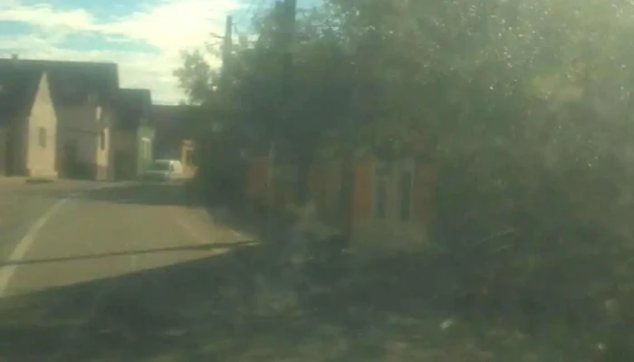 Parau Videoclipuri - Părău
