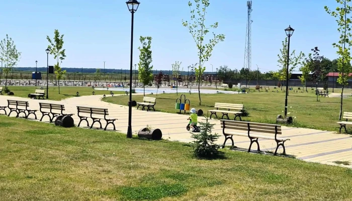 Parc Brazi -  Adresă - Brazii De Sus