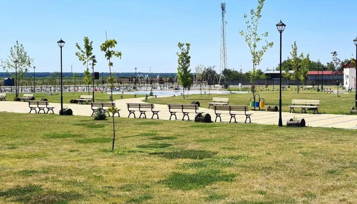 Parc Brazi -  Program - Brazii De Sus