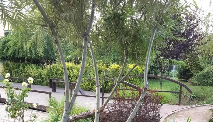 Parc Brazi -  Promoție - Brazii De Sus