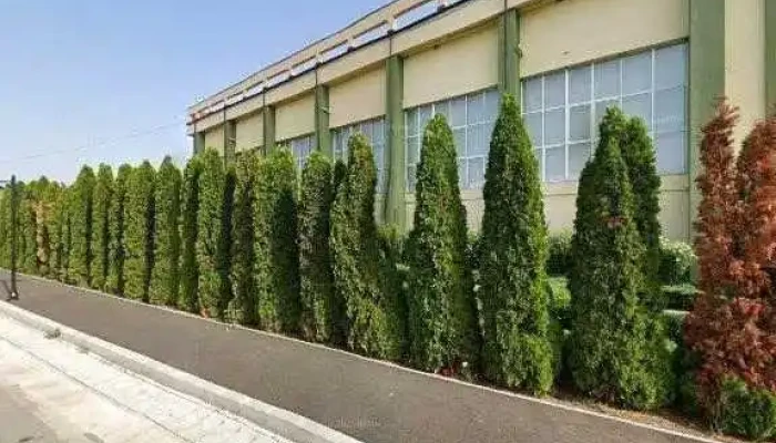 Parc Brazi -  Street View Si 360deg - Brazii De Sus