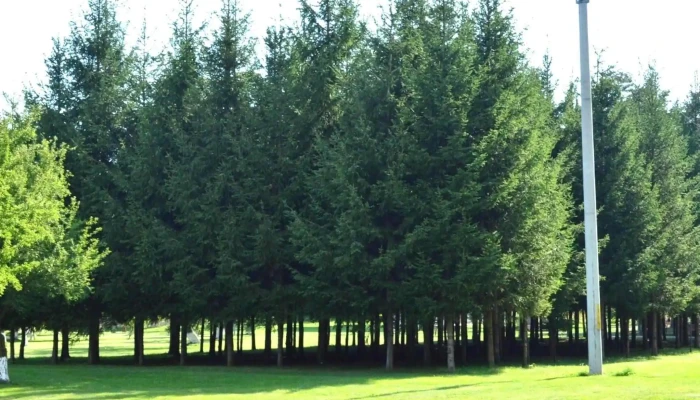 Parc Brebu - Brebu Mănăstirii