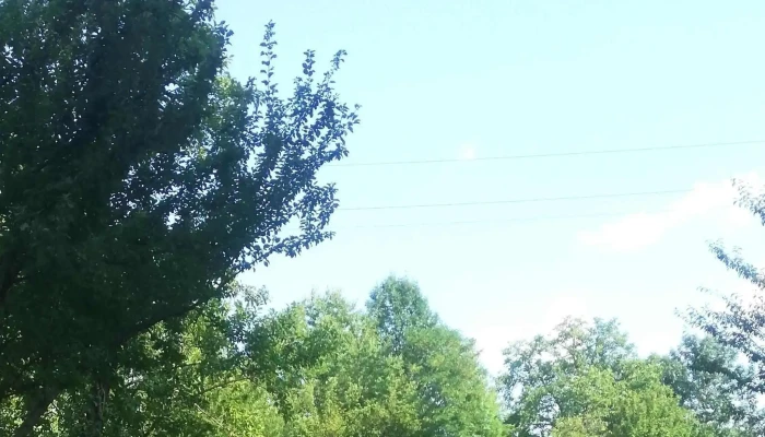 Parc Brebu -  Recenzii - Brebu Mănăstirii