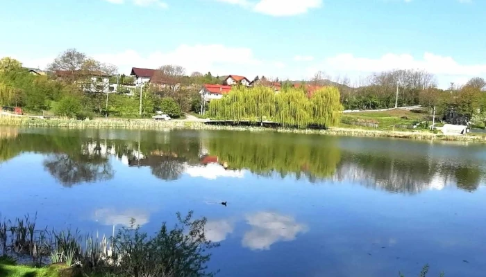 Parc Brebu -  Scor - Brebu Mănăstirii
