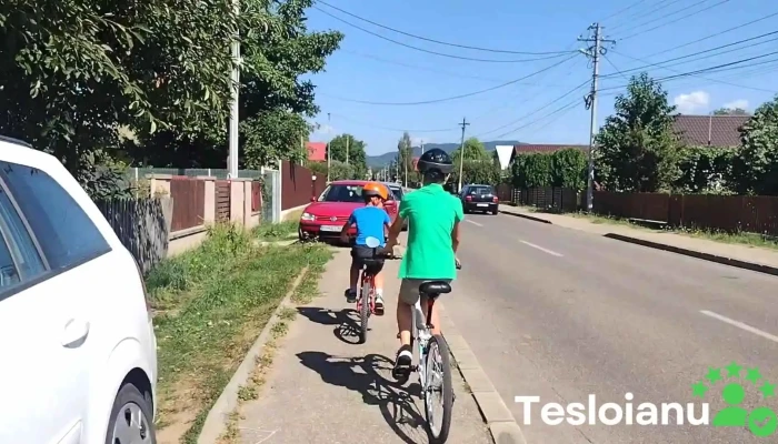 Parc Brebu -  Videoclipuri - Brebu Mănăstirii
