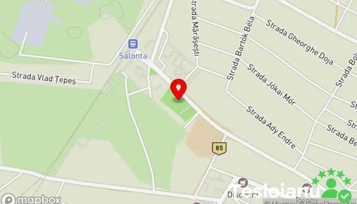 hartă a Parc Parc în Salonta