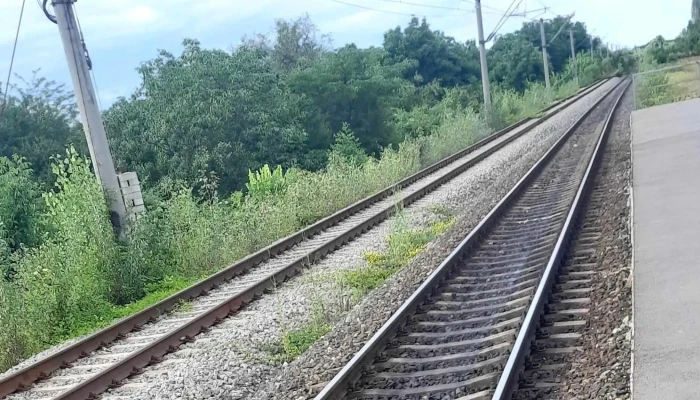 Parc Mogosoaia H Fotografii - Mogoșoaia