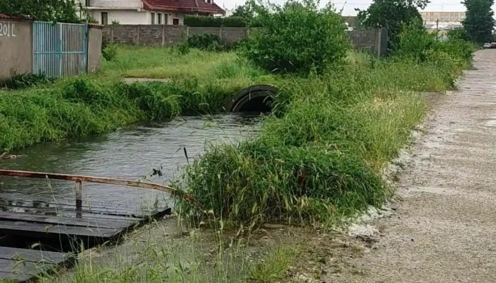 Parcul Cernele -  De La Proprietar - Craiova