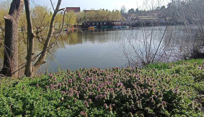 Parcul De Aventura Comana Cele Mai Recente - Comana