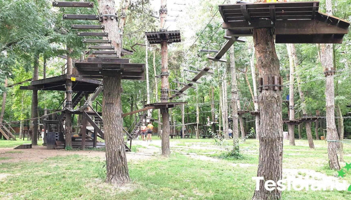 Parcul De Aventura Comana De La Proprietar - Comana