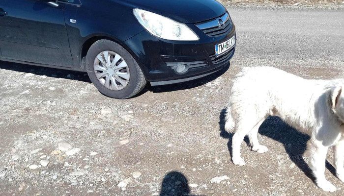 Partia Borlova Cum Să Ajungi Acolo - Dj608a
