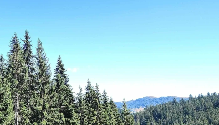 Partia De Ski Baisoara Catalog - Staţiunea Muntele Băişorii