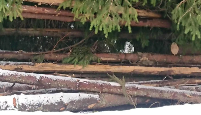 Partia De Ski Baisoara Comentarii - Staţiunea Muntele Băişorii