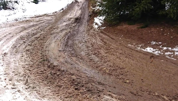 Partia De Ski Baisoara Fotografii - Staţiunea Muntele Băişorii