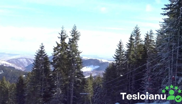 Partia De Ski Baisoara Iarna - Staţiunea Muntele Băişorii
