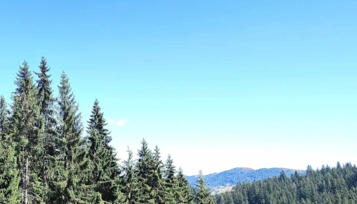 Partia De Ski Baisoara Scor - Staţiunea Muntele Băişorii